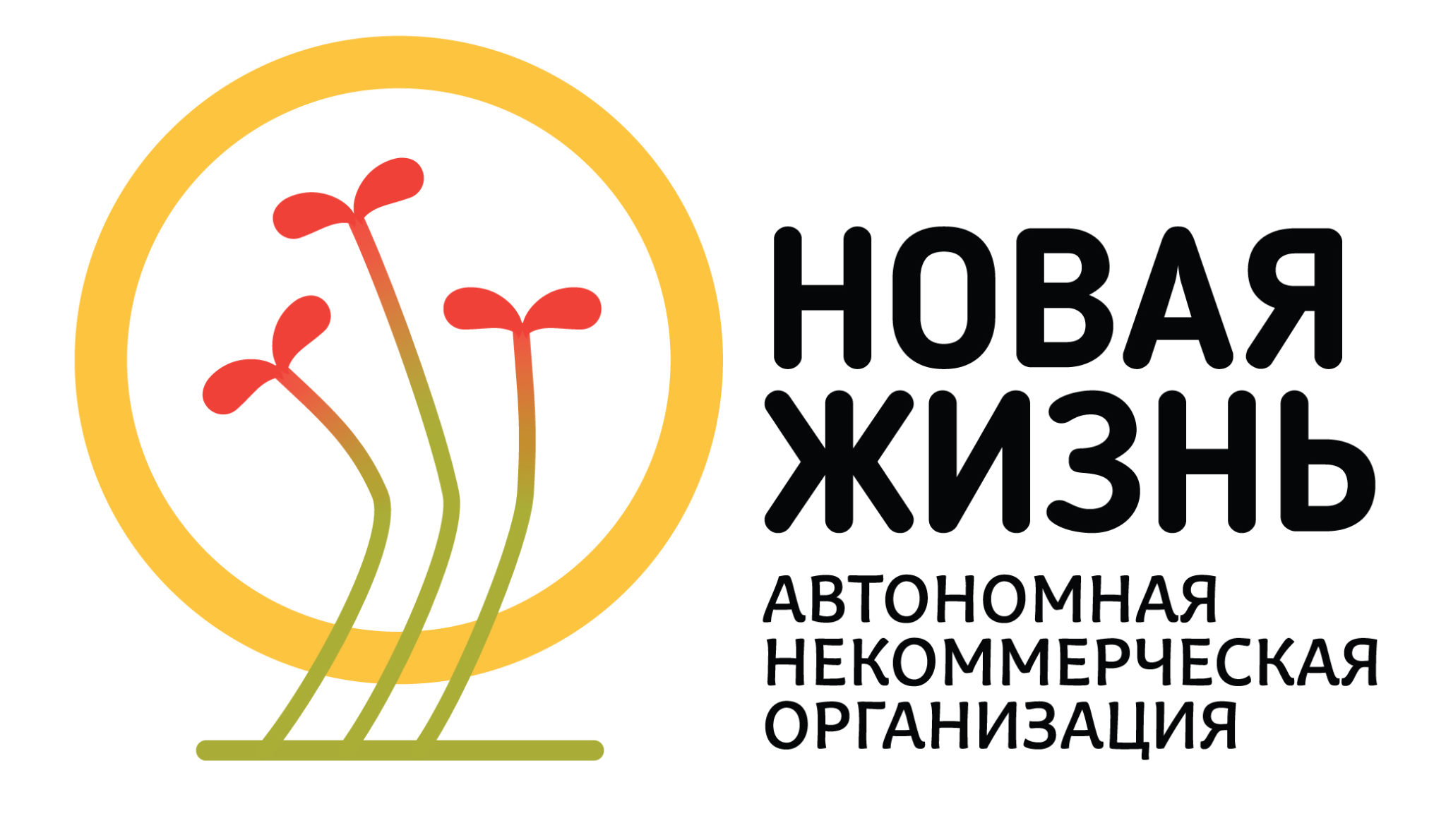 Автономная некоммерческая организация. АНО новая жизнь Оренбург. АНО жизнь. АНО новая жизнь лого. Автономная некомерческая Оранизация 